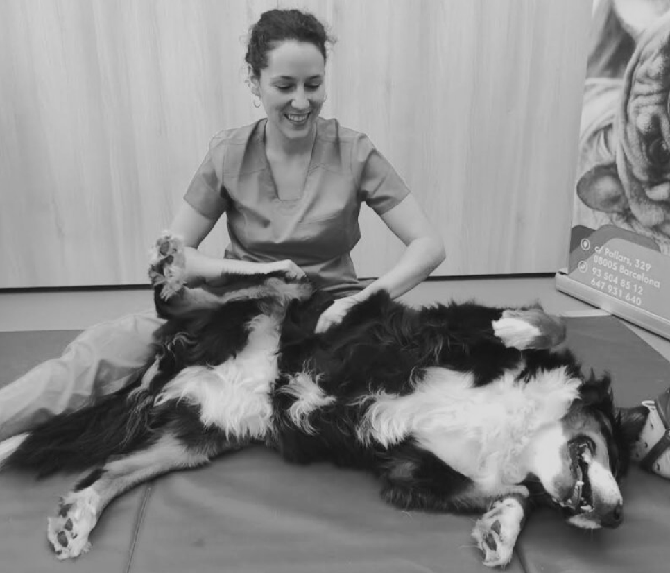 fisiatria veterinaria 1