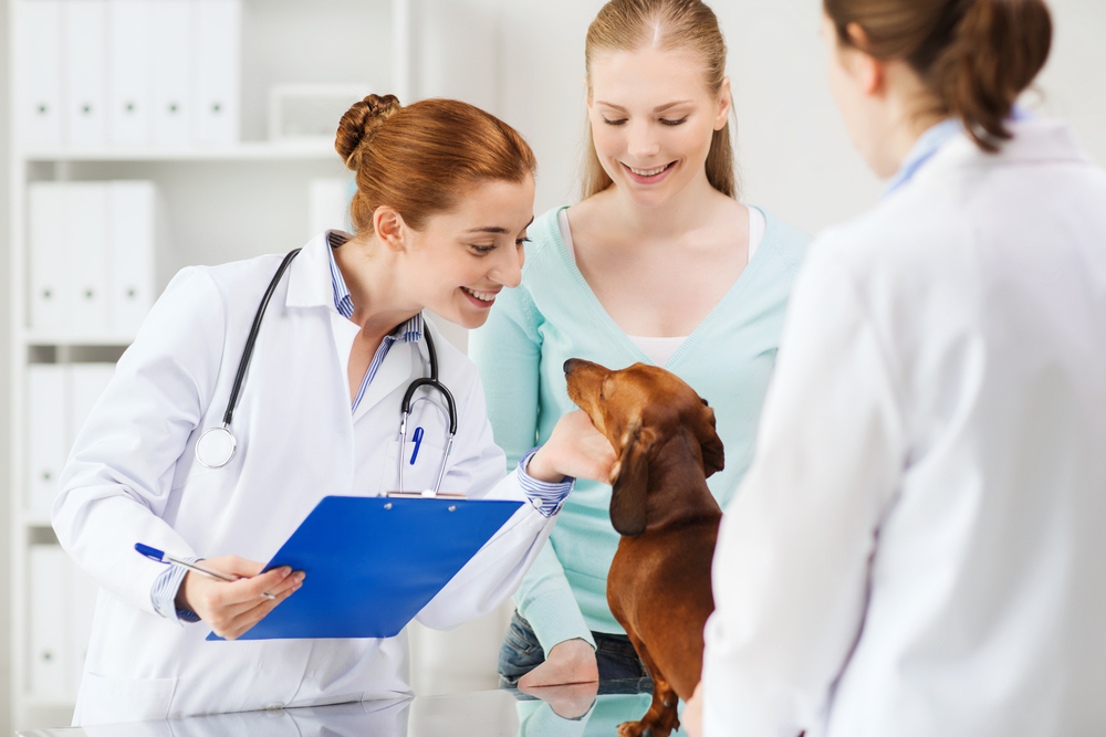 medicina-veterinaria-utp